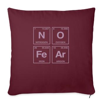 NO FEAR - avec des éléments du système de perdiode - Coussin et housse de 45 x 45 cm - bordeaux - Devant