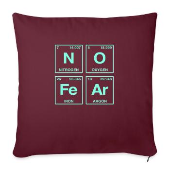 NO FEAR - avec des éléments du système de perdiode - Coussin et housse de 45 x 45 cm - bordeaux - Devant