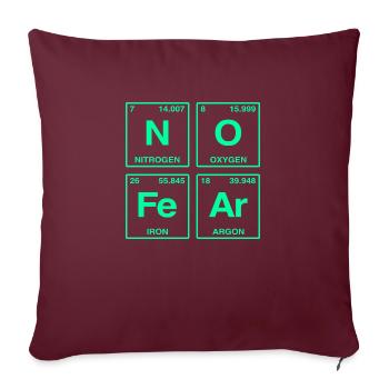 NO FEAR - avec des éléments du système de perdiode - Coussin et housse de 45 x 45 cm - bordeaux - Devant