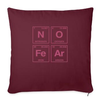 NO FEAR - avec des éléments du système de perdiode - Coussin et housse de 45 x 45 cm - bordeaux - Devant