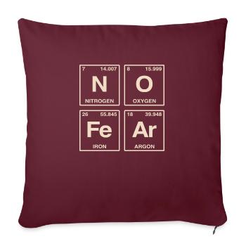 NO FEAR - avec des éléments du système de perdiode - Coussin et housse de 45 x 45 cm - bordeaux - Devant