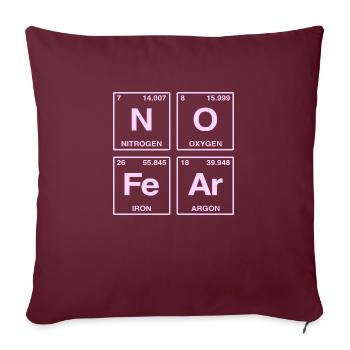 NO FEAR - avec des éléments du système de perdiode - Coussin et housse de 45 x 45 cm - bordeaux - Devant