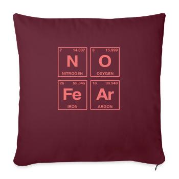 NO FEAR - avec des éléments du système de perdiode - Coussin et housse de 45 x 45 cm - bordeaux - Devant