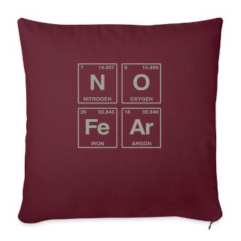 NO FEAR - avec des éléments du système de perdiode - Coussin et housse de 45 x 45 cm - bordeaux - Devant