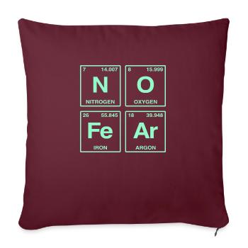 NO FEAR - avec des éléments du système de perdiode - Coussin et housse de 45 x 45 cm - bordeaux - Devant