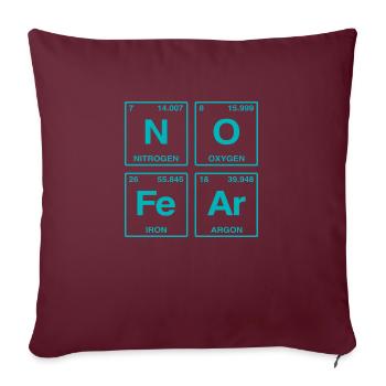 NO FEAR - avec des éléments du système de perdiode - Coussin et housse de 45 x 45 cm - bordeaux - Devant