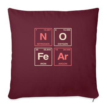 NO FEAR - avec des éléments du système de perdiode - Coussin et housse de 45 x 45 cm - bordeaux - Devant