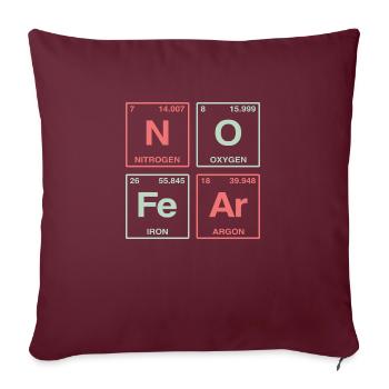 NO FEAR - avec des éléments du système de perdiode - Coussin et housse de 45 x 45 cm - bordeaux - Devant
