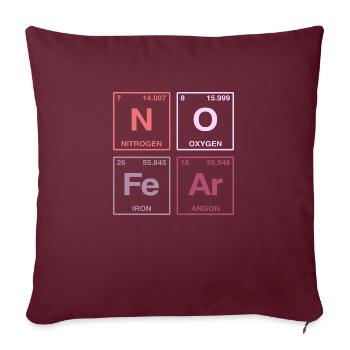 NO FEAR - avec des éléments du système de perdiode - Coussin et housse de 45 x 45 cm - bordeaux - Devant