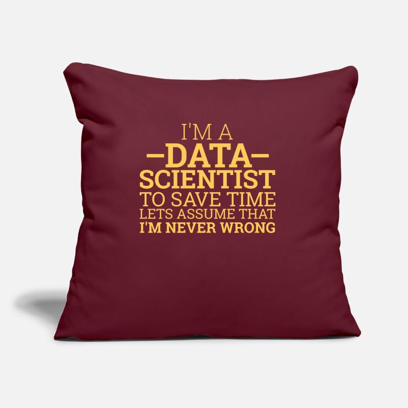 "Data Scientist Save Time | Data Scientist" Sofa pillow with filling 45cm x 45cm