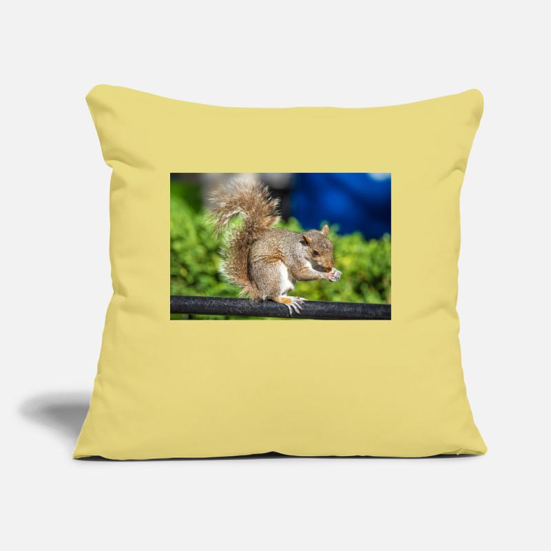 Manger Écureuil gris Grauhörnchen Sciurus carolin Coussin et housse de 45 x 45 cm