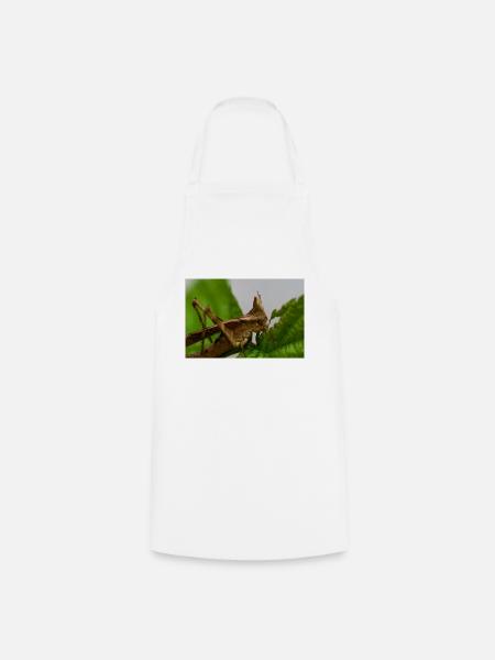 Erianthus versicolor - Monkey Grasshopper - Kochschürze - Weiß
