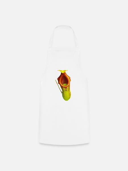 Nepenthes burkei - Kochschürze - Weiß
