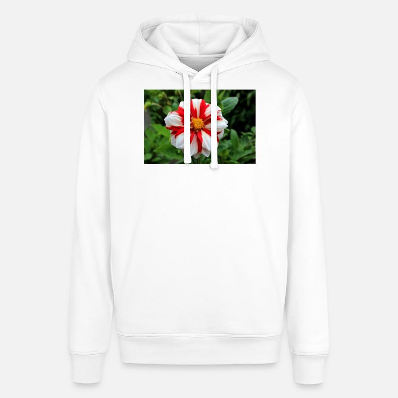 Dahlia blanc rouge fleur, fleur - Sweat à capuche SOUNDER Stanley/Stella Unisexe - blanc