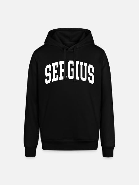 Serge - Sweat à capuche SOUNDER Stanley/Stella Unisexe - noir