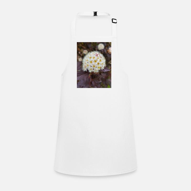 ninebark Blasenspiere Physocarpus capitatus Children's Apron