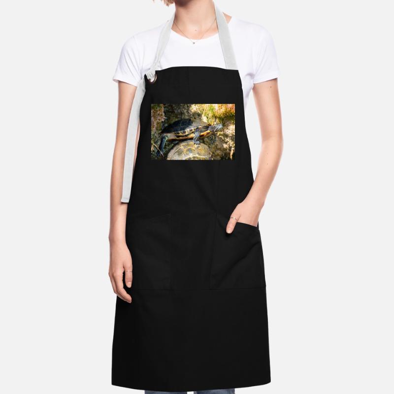 Trachemys scripta scripta scripta Tablier contrasté