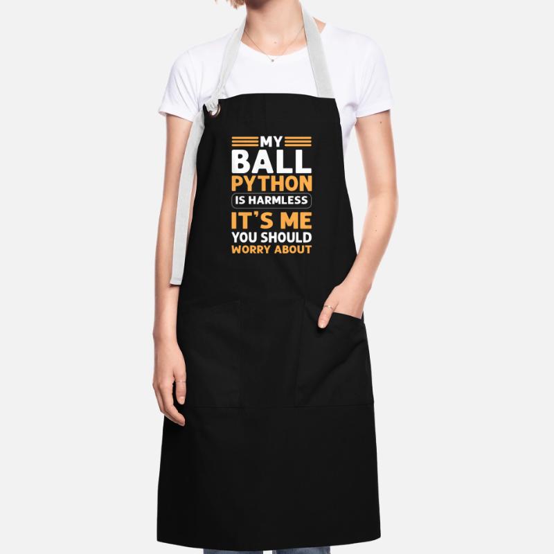 Mon python boule est inoffensif. Royal Python Tablier contrasté