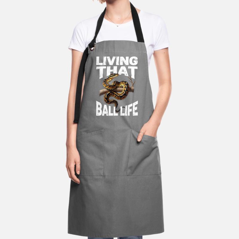 Python roi Serpents Amateurs de terrarium Python Tablier contrasté