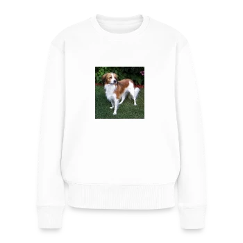domestic dog 1