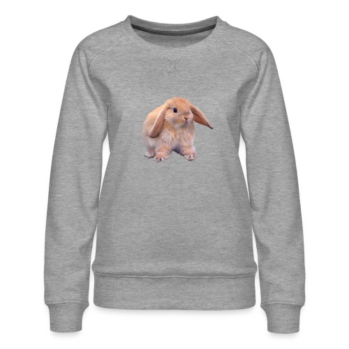 Kaninchen - Frauen Premium Pullover