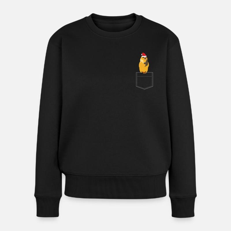 Weihnachtsvogel - Frauen Premium Bio Pullover - Schwarz