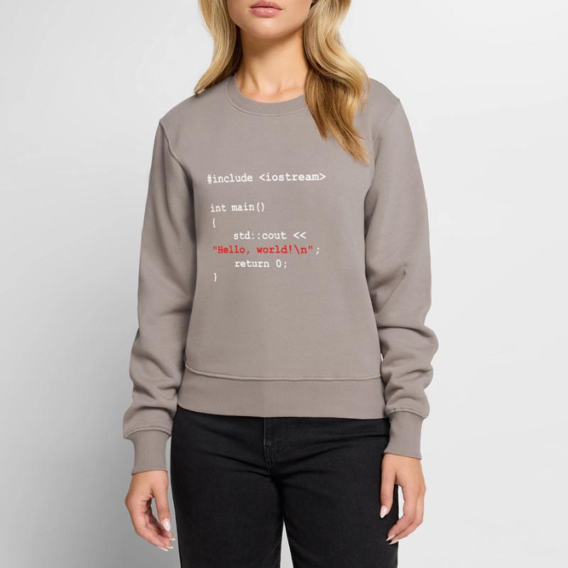Hello World C ++ Developer Program Gift Women's Premium Organic Jumper
