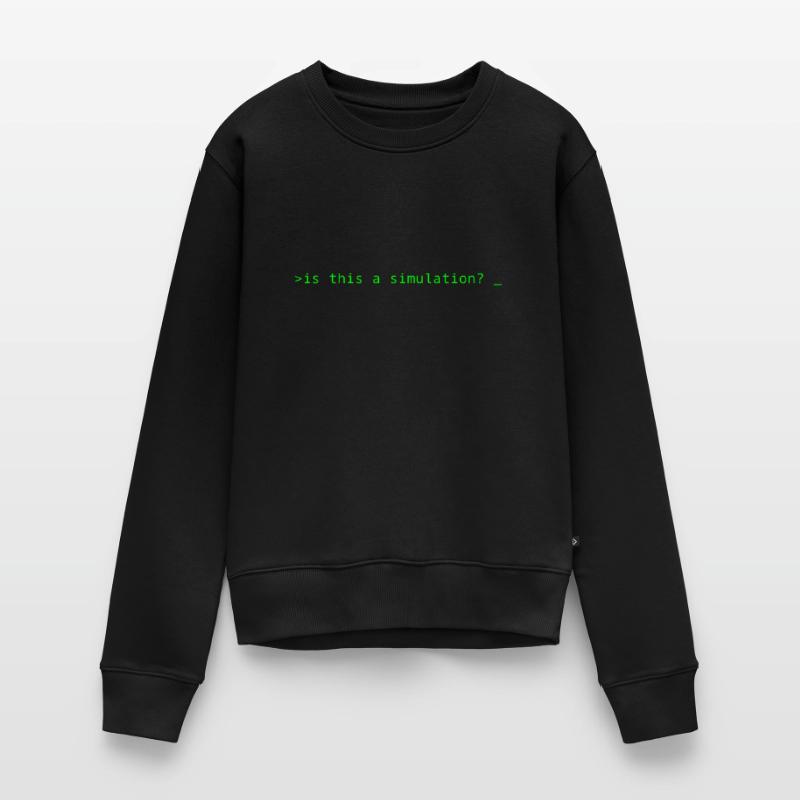 Simulation Programming Informatic Geschenk Spruch Frauen Premium Bio Pullover