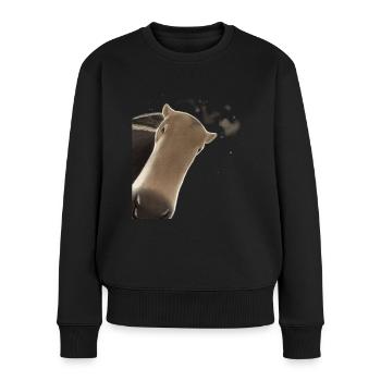 Neugieriger Ameisenbär - Frauen Premium Bio Pullover - Schwarz - Vorne - Julia (174cm)