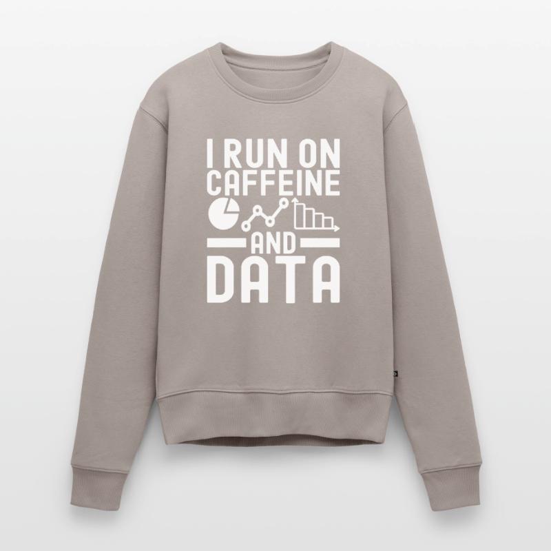 Data Science Data Analyst Women's Premium Organic Jumper