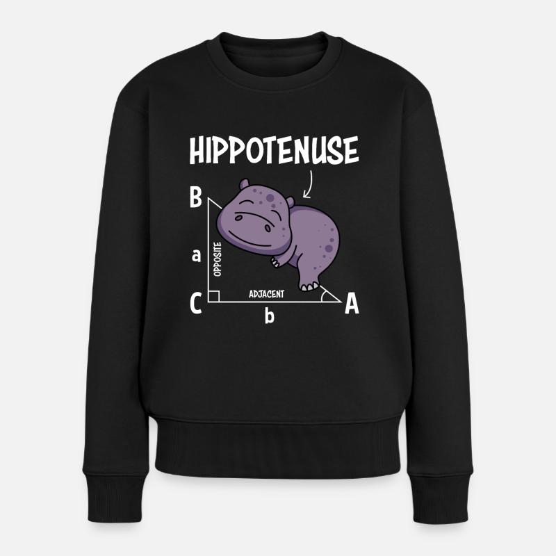 Mathelehrer Hippotenuse Mathematik - Frauen Premium Bio Pullover - Schwarz