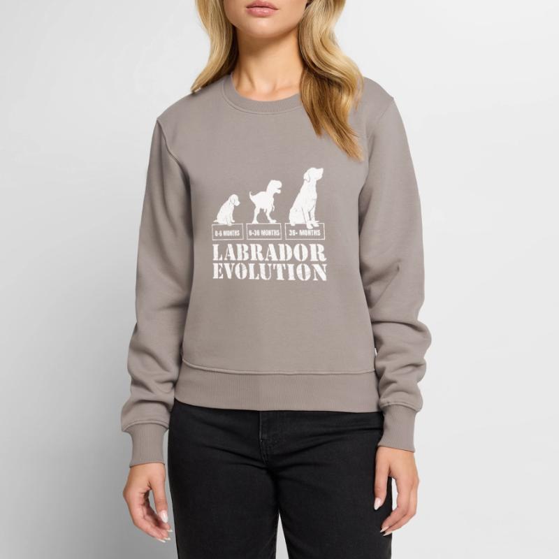 Labrador EVOLUTION Labrador Lover Funny Women's Premium Organic Jumper