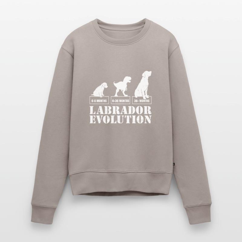 Labrador EVOLUTION Labrador Lover Funny Women's Premium Organic Jumper
