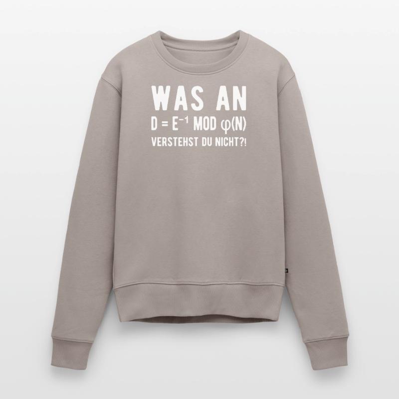 Computer Scientist Computer Science Student Programmer Women's Premium Organic Jumper