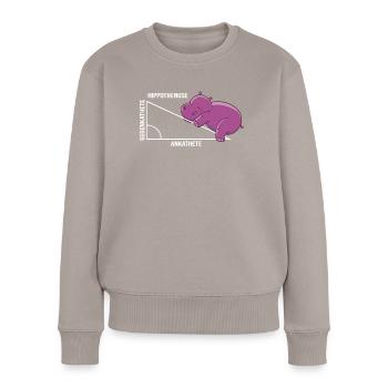Lustiges Mathe Wortspiel Hippothenuse Nilpferd - Frauen Premium Bio Pullover - Taupe - Vorne - Julia (174cm)