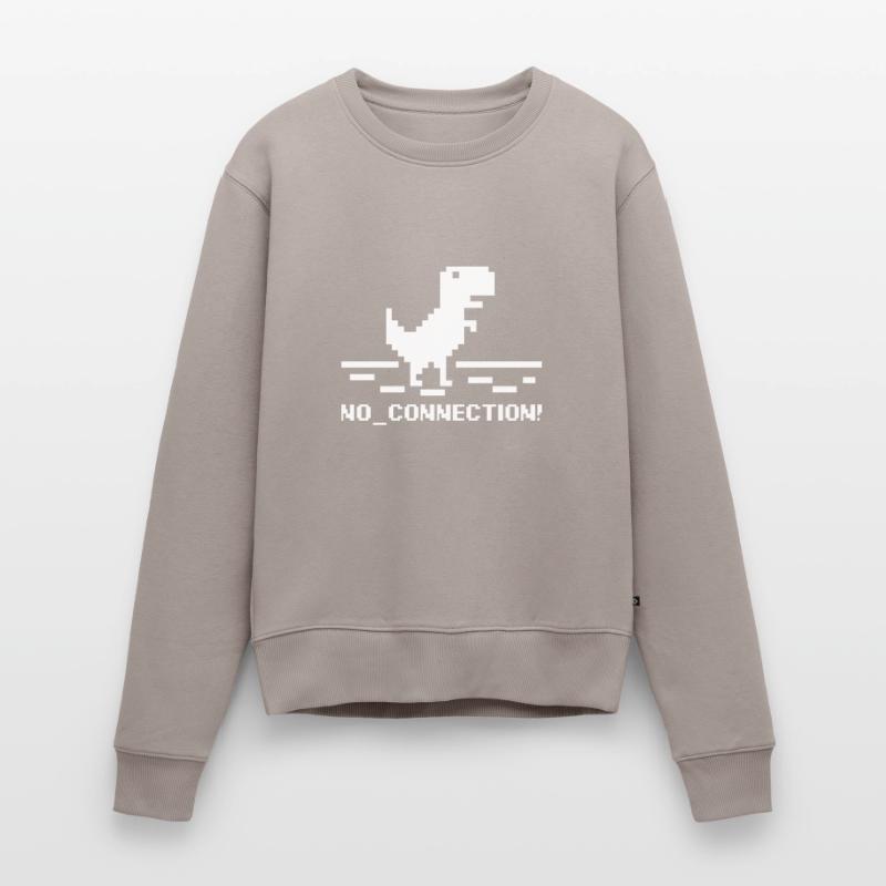 No Connection Computer Error Nerd Dinosaur Trex Women's Premium Organic Jumper