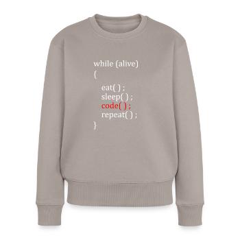 Informatiker Hobby - Frauen Premium Bio Pullover - Taupe - Vorne - Julia (174cm)