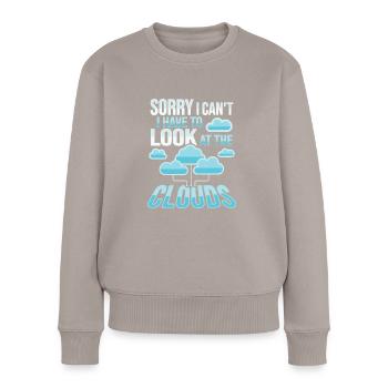 Cloud Administrator Cloud Devops - Women's Premium Organic Jumper - taupe - Front - Julia (174cm)