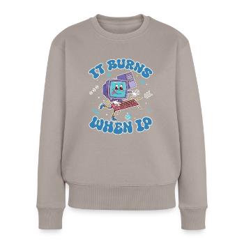 IT Geek, Accessoires PC Périphériques de stockage Evolution - Pull Premium bio Femme - taupe - Devant - Julia (174cm)