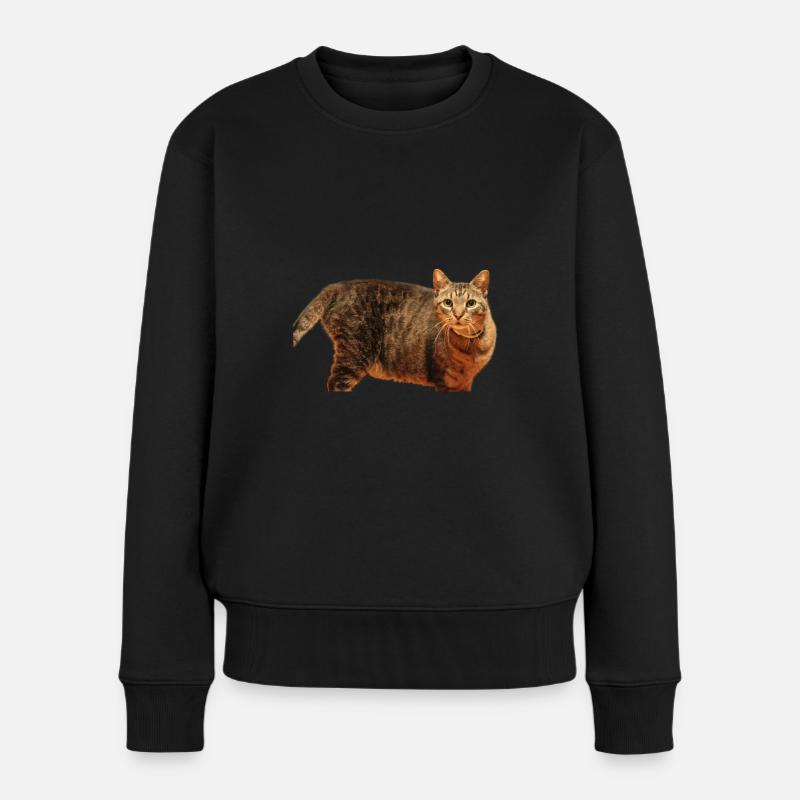 Katze Kätzchen - Frauen Premium Bio Pullover - Schwarz