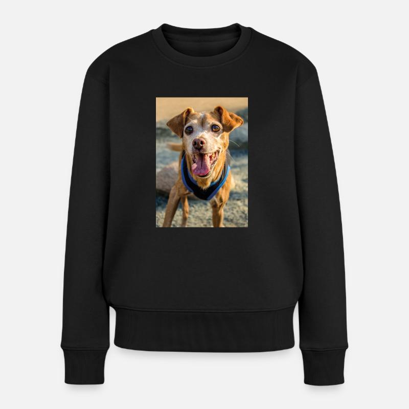 Hunde Portrait im Freiem - Frauen Premium Bio Pullover - Schwarz