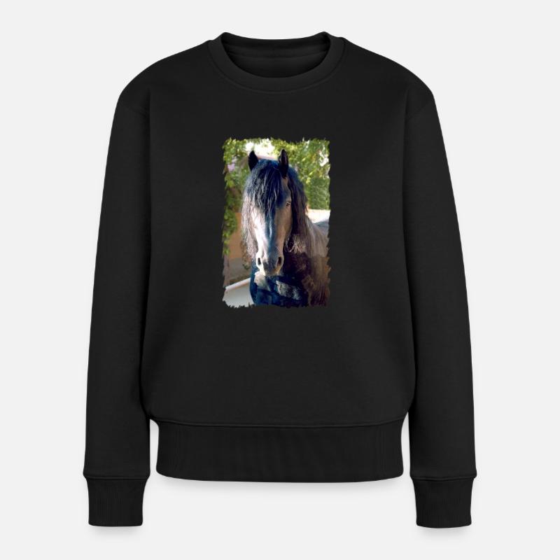 Friesenpferd - Frauen Premium Bio Pullover - Schwarz