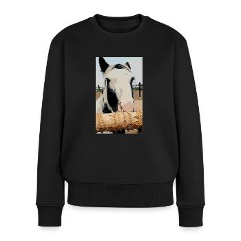 Sweet Tinker Pony - Frauen Premium Bio Pullover - Schwarz - Vorne - Julia (174cm)