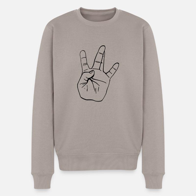 West Coast main (c.) - Pull Premium bio Homme - taupe