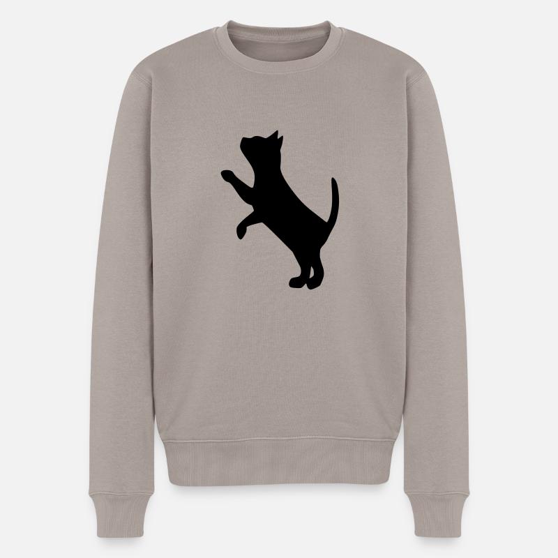 cat2 - Pull Premium bio Homme - taupe