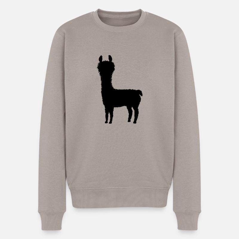 Alpaga silhouette cool - Pull Premium bio Homme - taupe