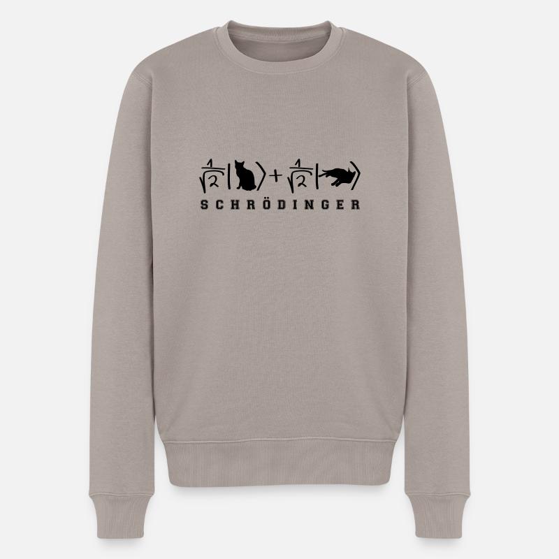 Phsyique Schrödinger Chat - Pull Premium bio Homme - taupe