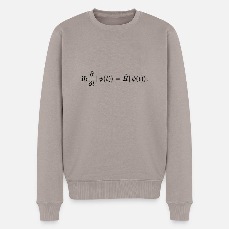 Schrödinger - Männer Premium Bio Pullover - Taupe