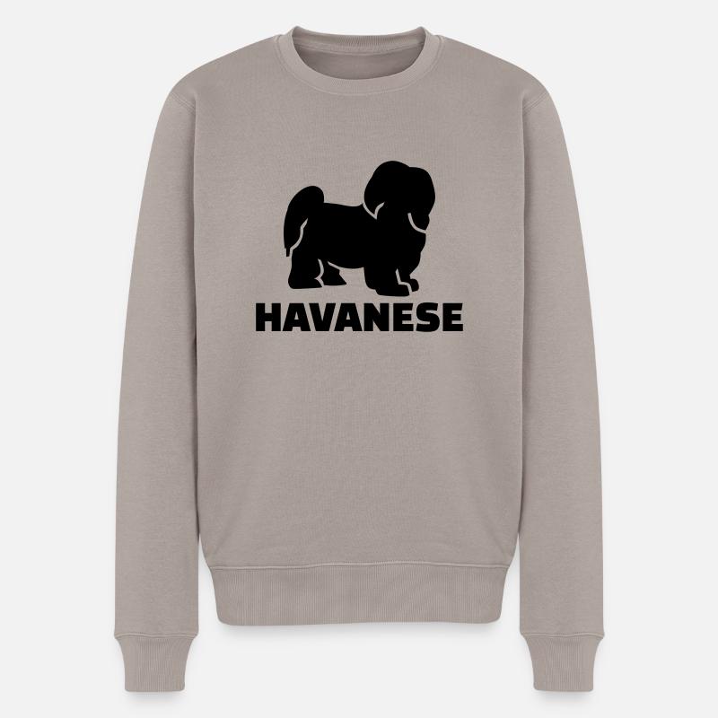 Havanese - Pull Premium bio Homme - taupe