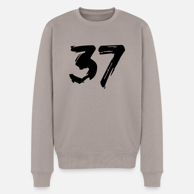 Brushed 37 - Männer Premium Bio Pullover - Taupe